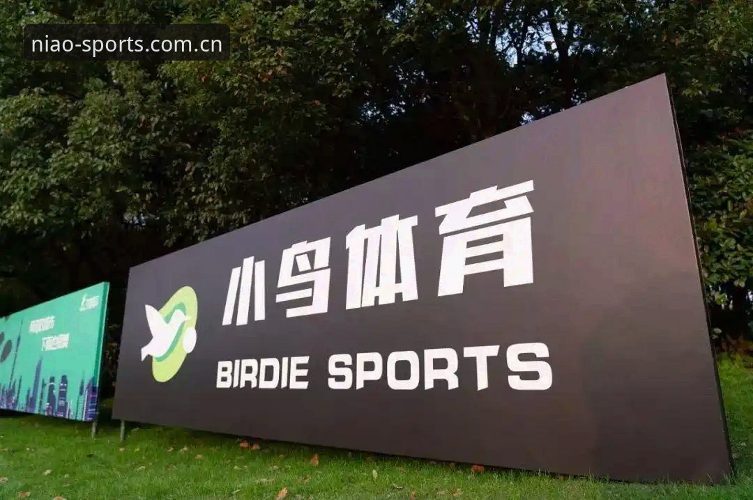 中文中国小鸟体育比分查询新旧版本对比：升级后的效率差距有多大？